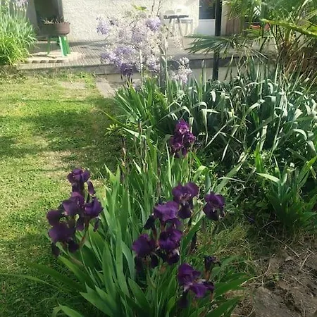 Studio Buena Vista Avec Terrasse Sur Jardin Bron Extérieur photo