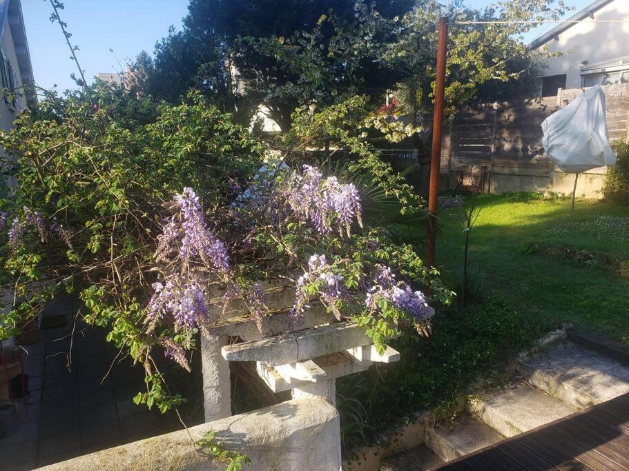 Buena Vista Avec Terrasse Sur Jardin *